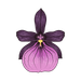 Dan's Orchid House