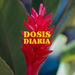 Dosis Diaria 2025